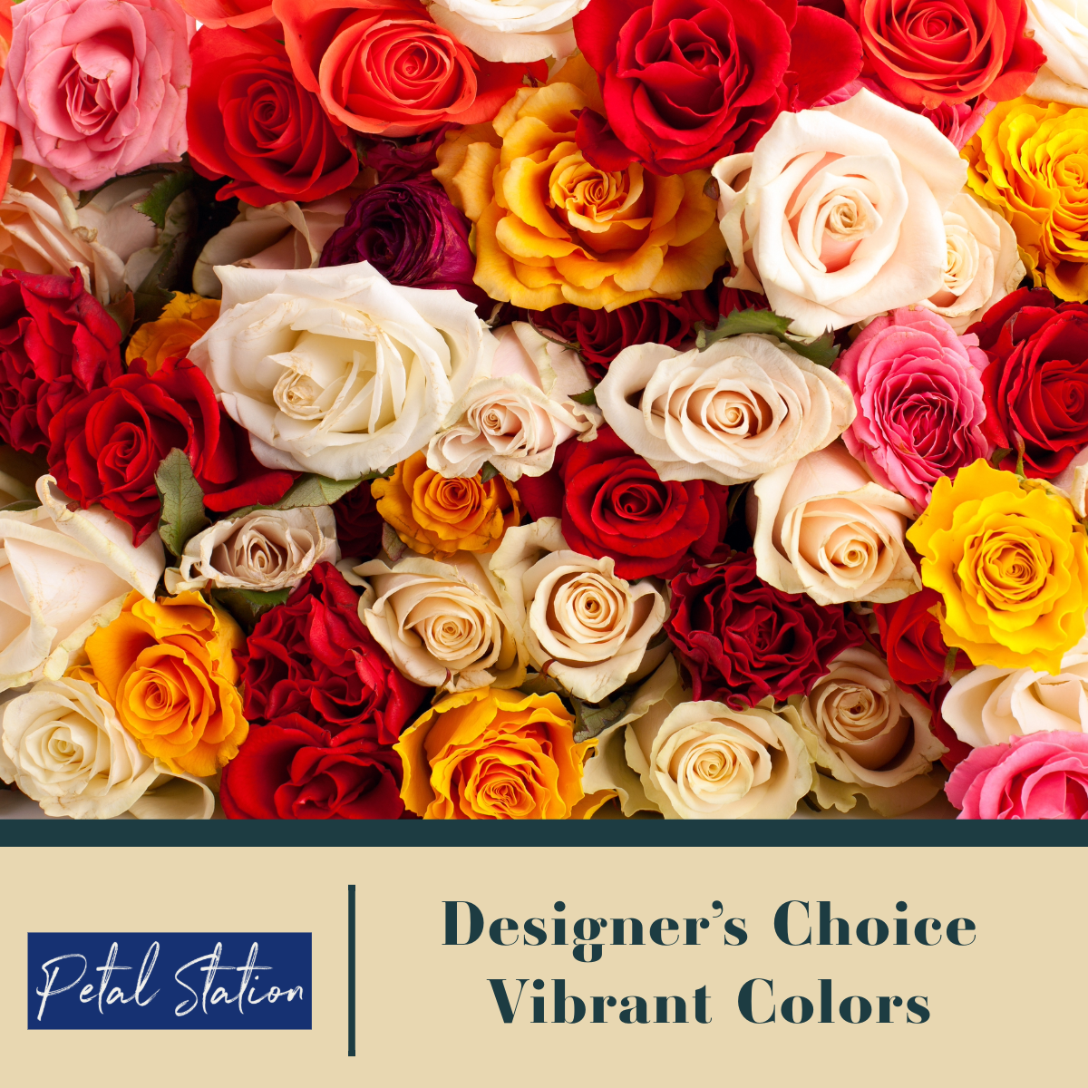 Bouquet of colorful roses