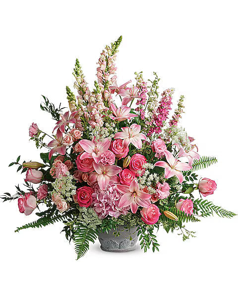 Sympathy Collections